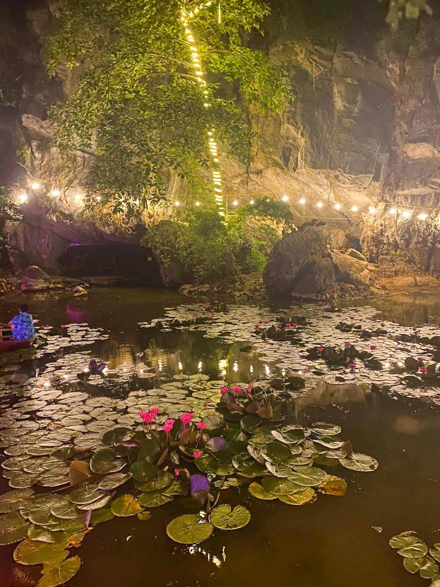 Tam Coc Rocky Bungalow Ninh Binh Eksteriør billede
